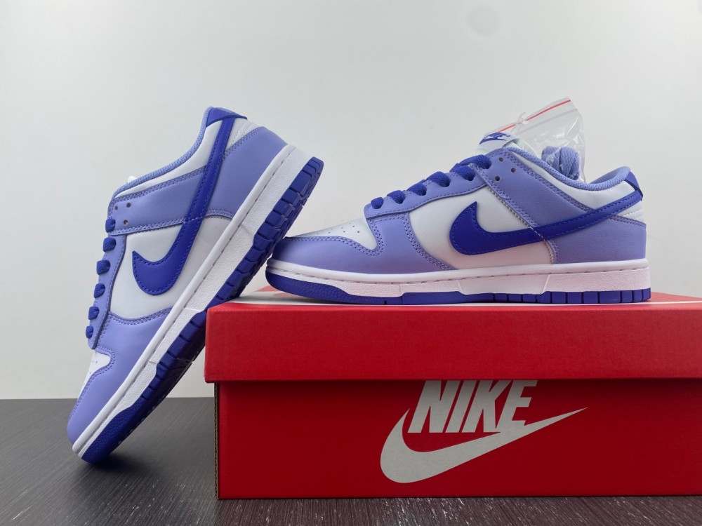 Nike Dunk Low Gs Blueberry Dz4456 100 12 - www.kickbulk.cc