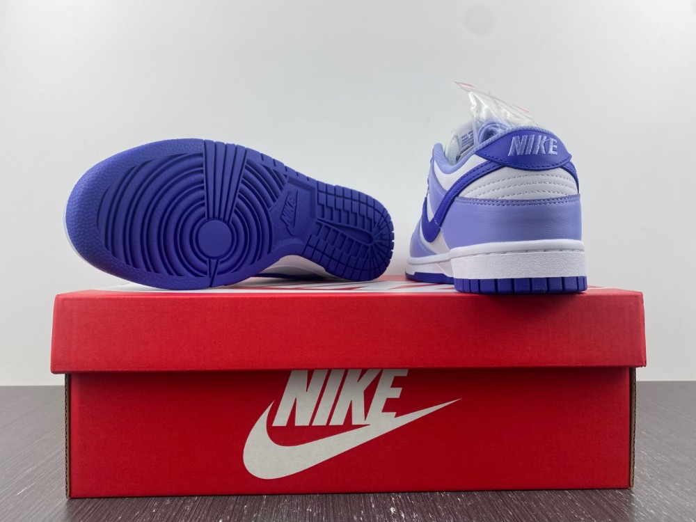 Nike Dunk Low Gs Blueberry Dz4456 100 13 - www.kickbulk.cc