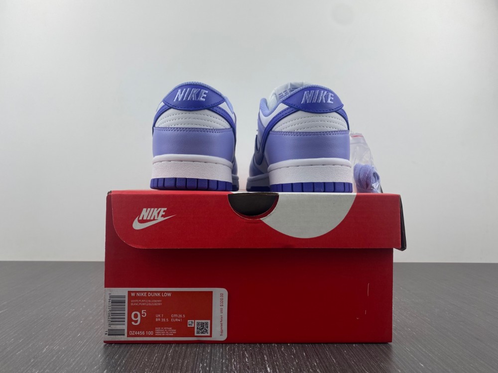 Nike Dunk Low Gs Blueberry Dz4456 100 14 - www.kickbulk.cc