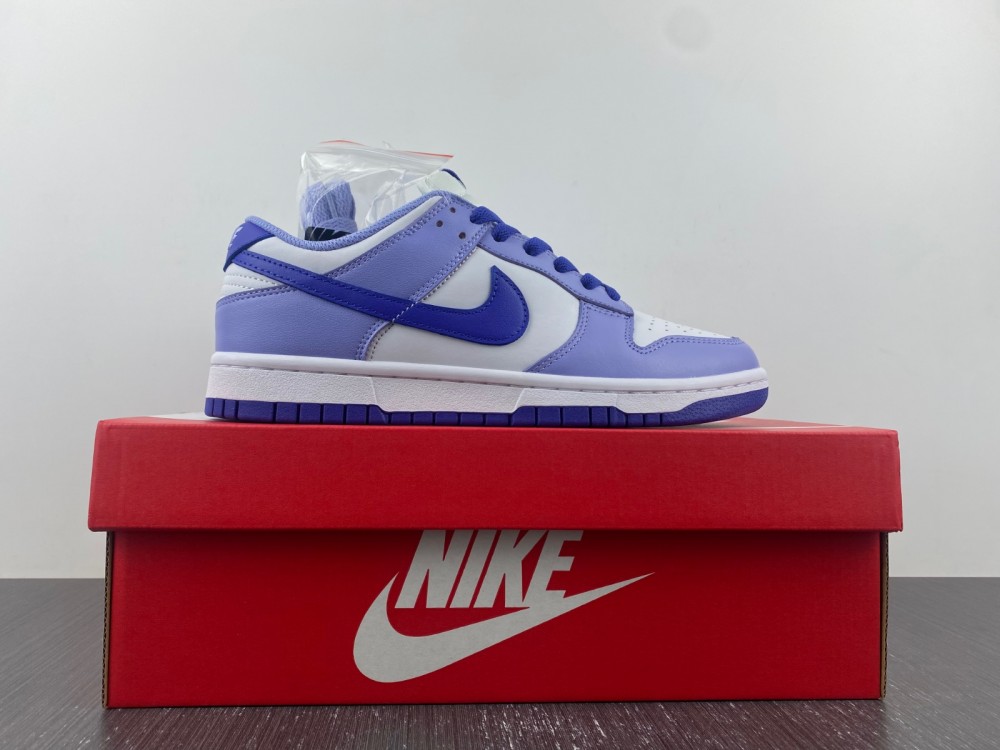 Nike Dunk Low Gs Blueberry Dz4456 100 15 - www.kickbulk.cc