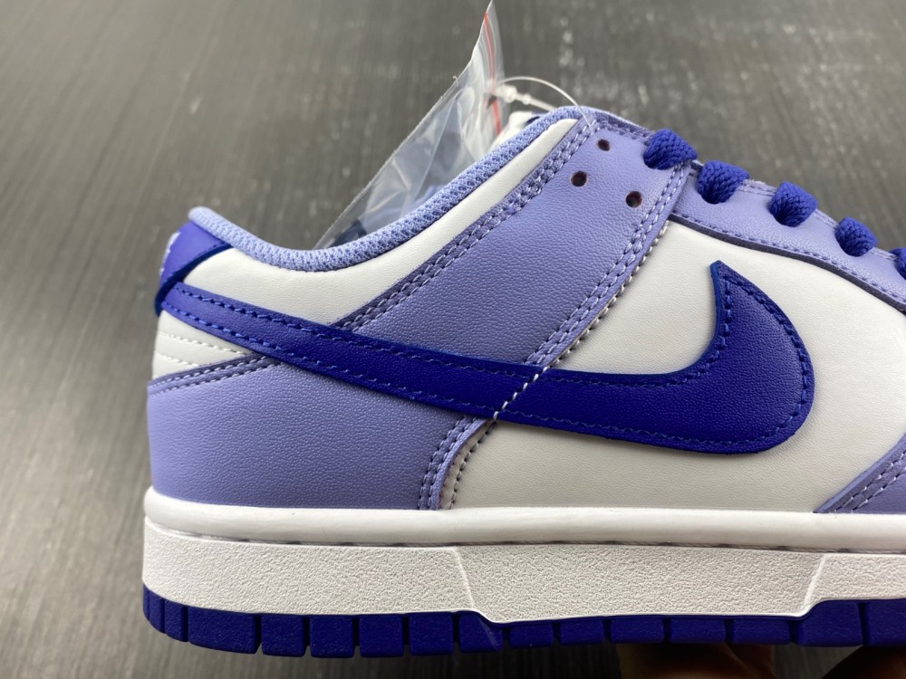 Nike Dunk Low Gs Blueberry Dz4456 100 16 - www.kickbulk.cc