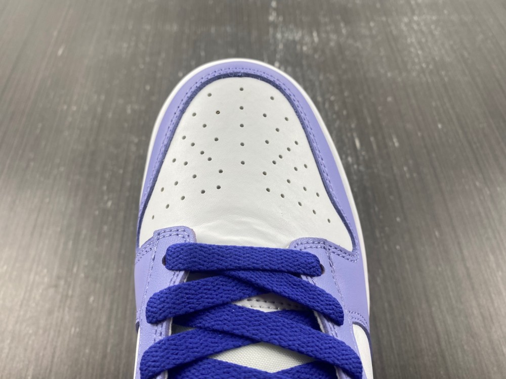 Nike Dunk Low Gs Blueberry Dz4456 100 19 - www.kickbulk.cc