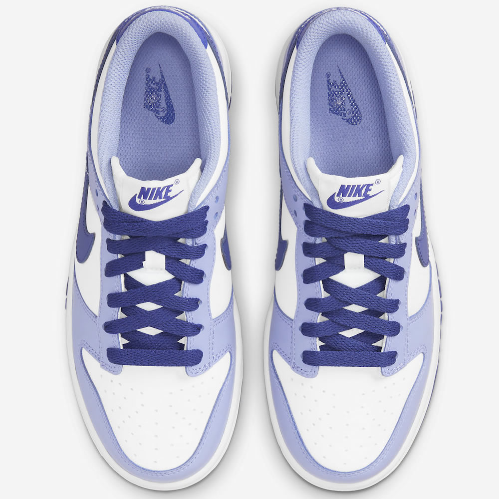 Nike Dunk Low Gs Blueberry Dz4456 100 2 - www.kickbulk.cc