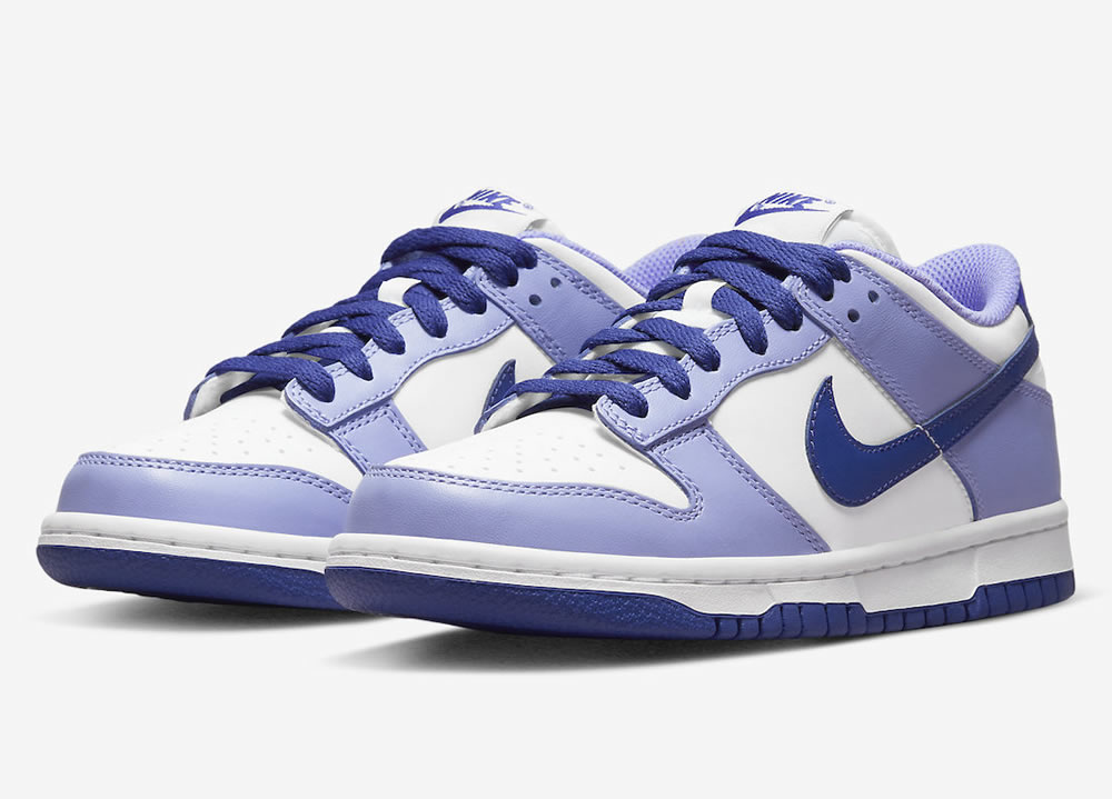 Nike Dunk Low Gs Blueberry Dz4456 100 3 - www.kickbulk.cc