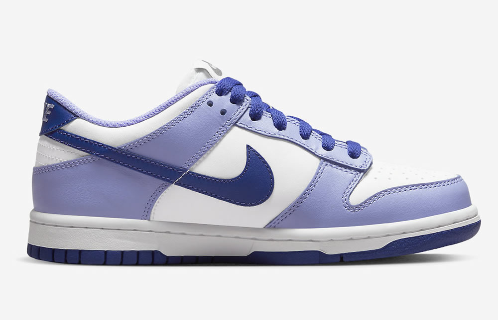 Nike Dunk Low Gs Blueberry Dz4456 100 5 - www.kickbulk.cc