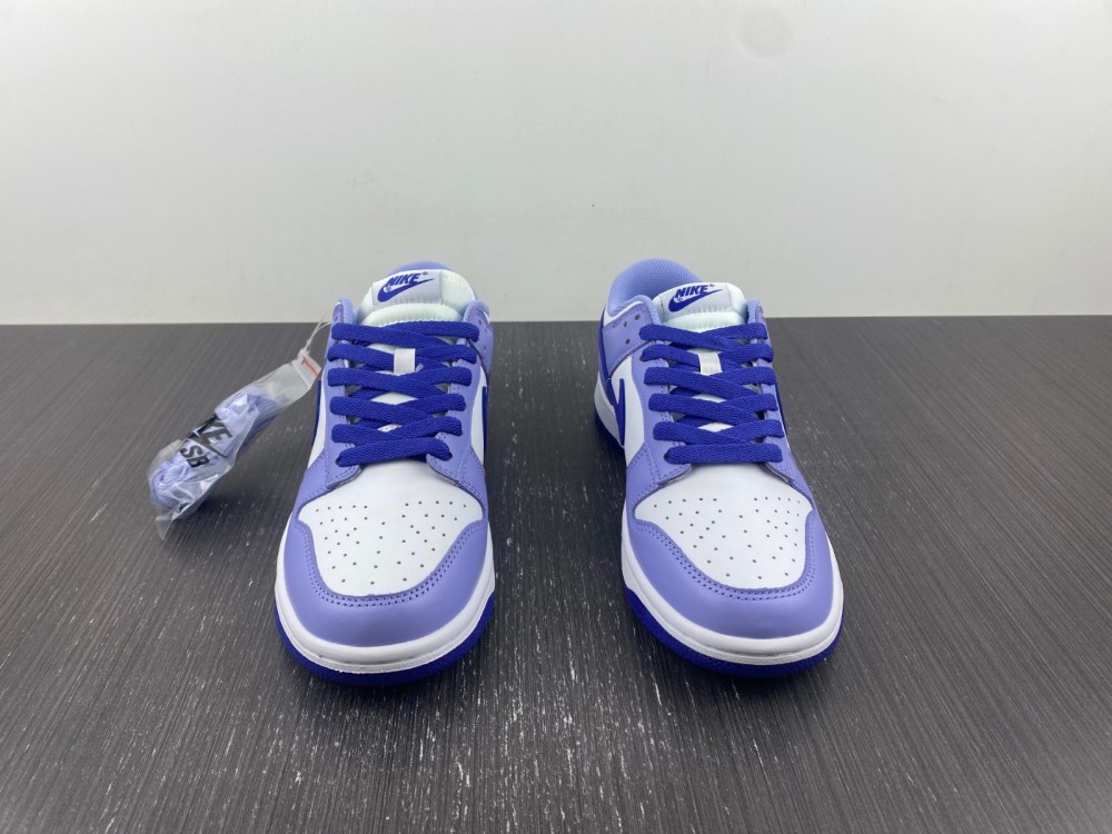 Nike Dunk Low Gs Blueberry Dz4456 100 7 - www.kickbulk.cc