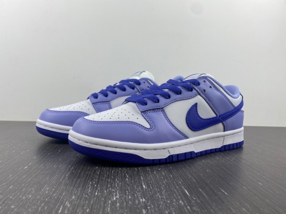 Nike Dunk Low Gs Blueberry Dz4456 100 8 - www.kickbulk.cc