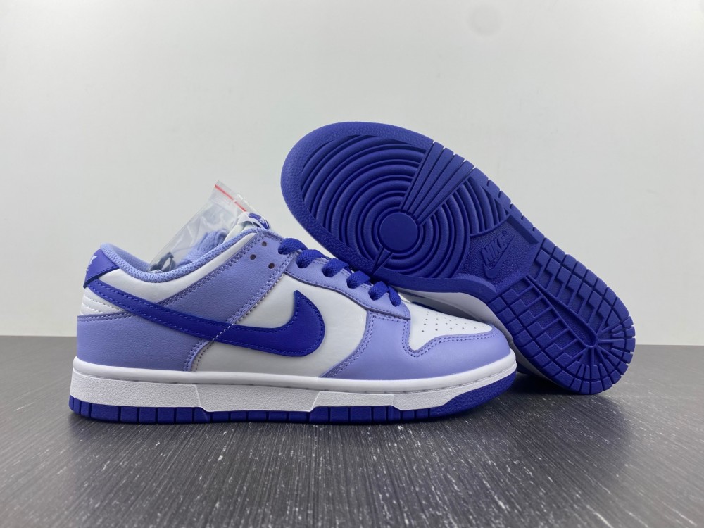 Nike Dunk Low Gs Blueberry Dz4456 100 9 - www.kickbulk.cc