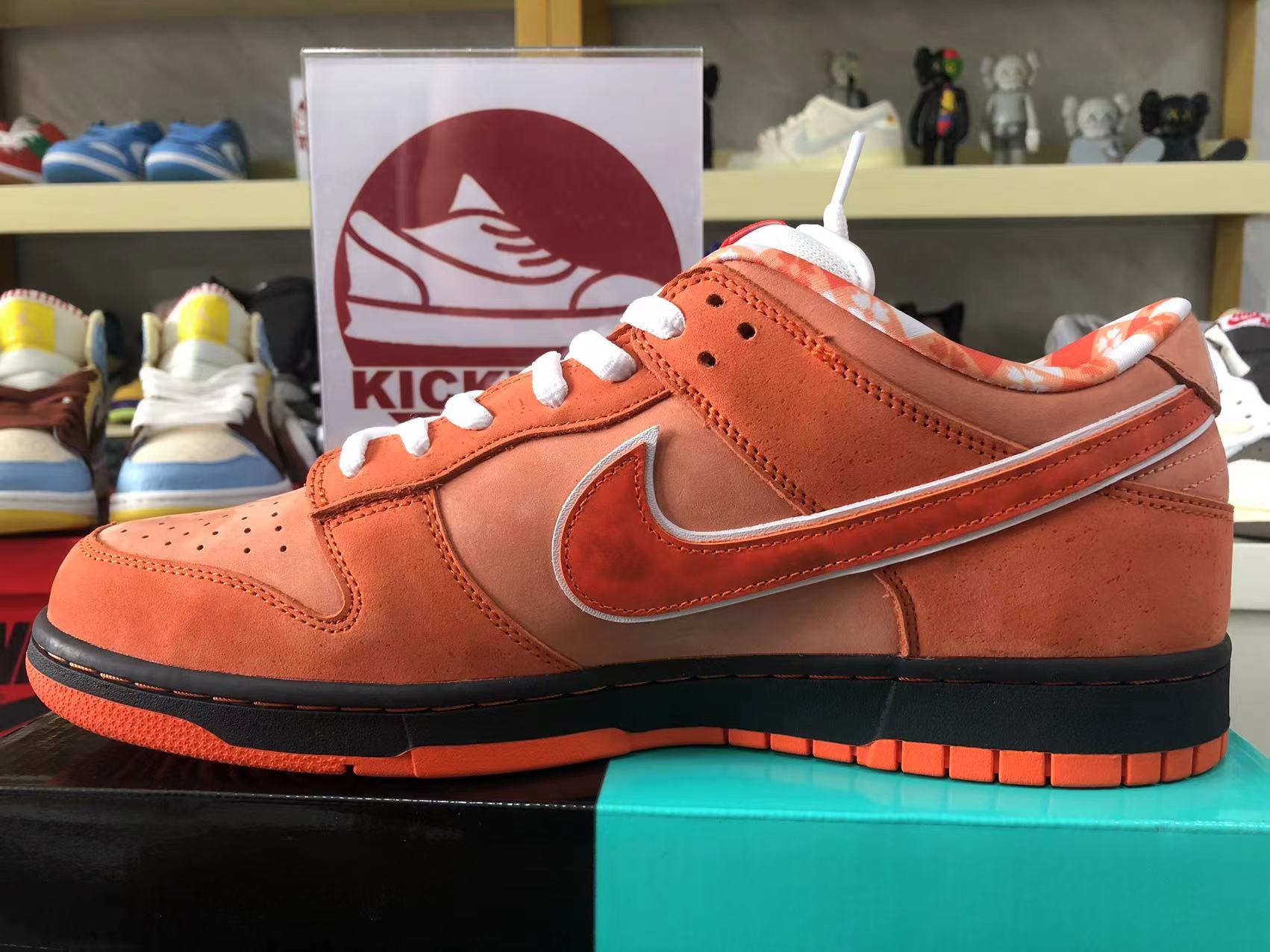 Nike Dunk Sb Low Orange Lobster Fd8776 800 6 - www.kickbulk.cc