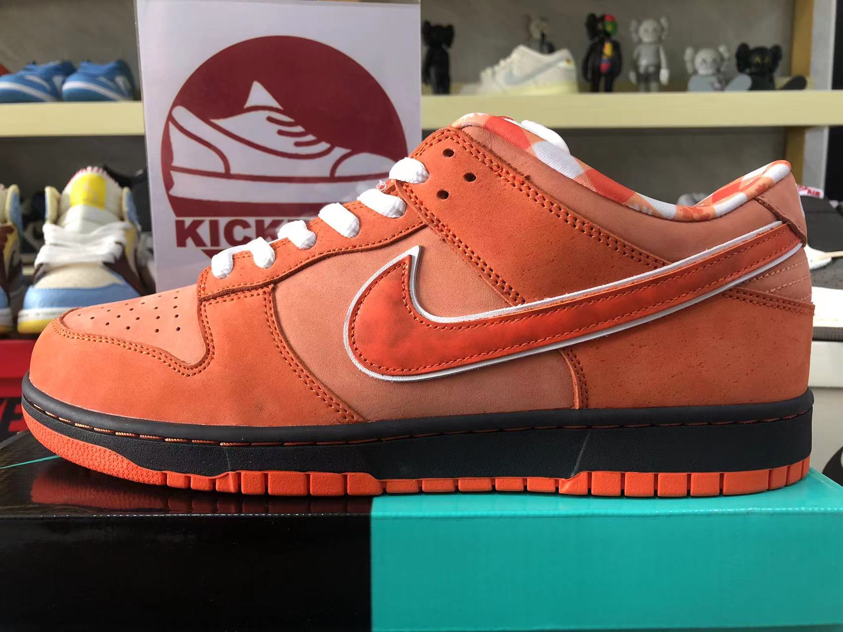 Nike Dunk Sb Low Orange Lobster Fd8776 800 7 - www.kickbulk.cc