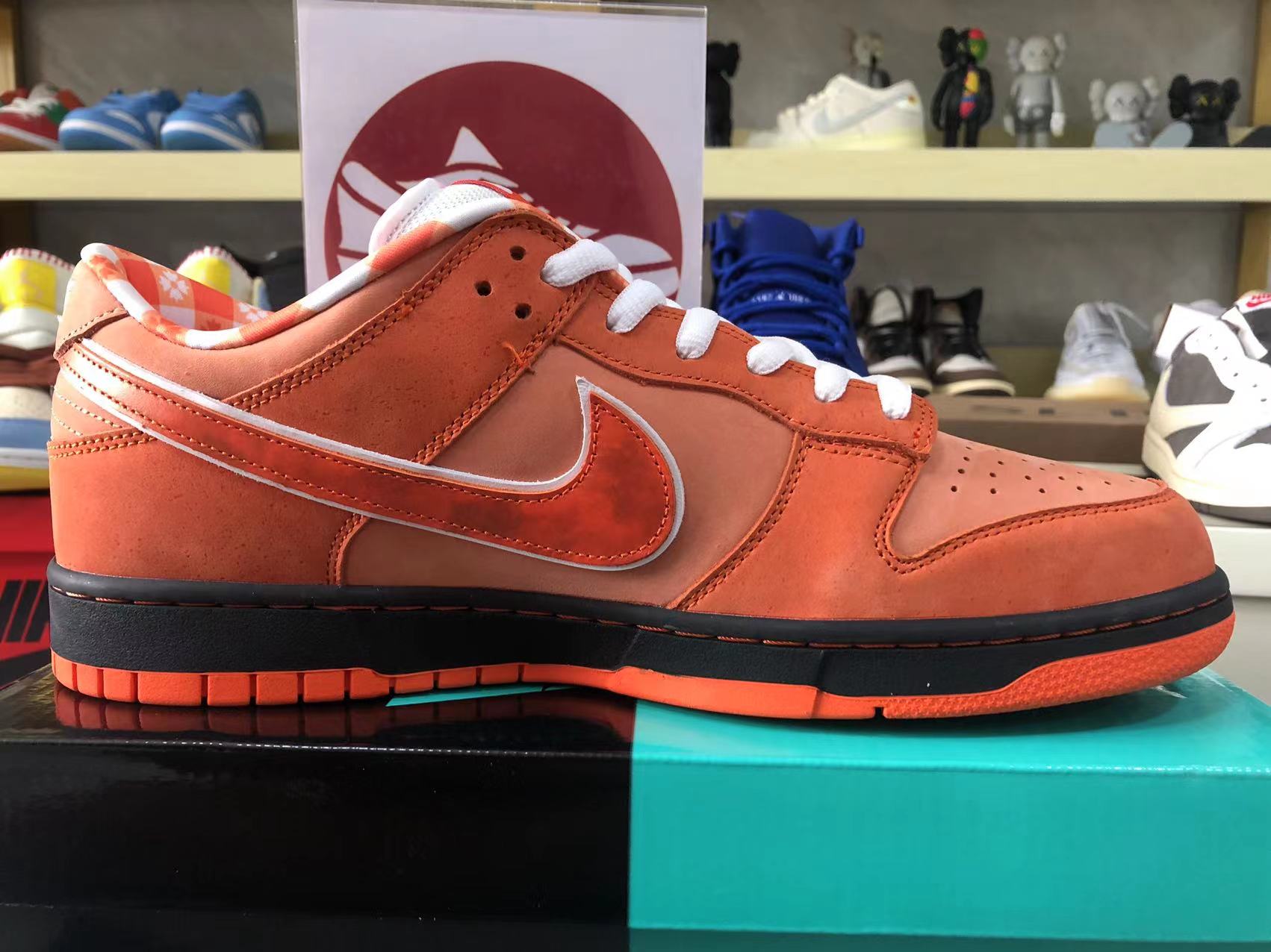 Nike Dunk Sb Low Orange Lobster Fd8776 800 8 - www.kickbulk.cc