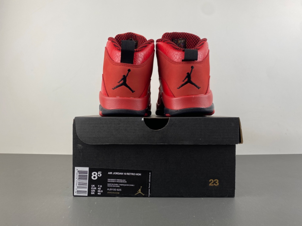 Steve Wiebe Jordan 10 Retro Hoh Aj9100 625 14 - www.kickbulk.cc
