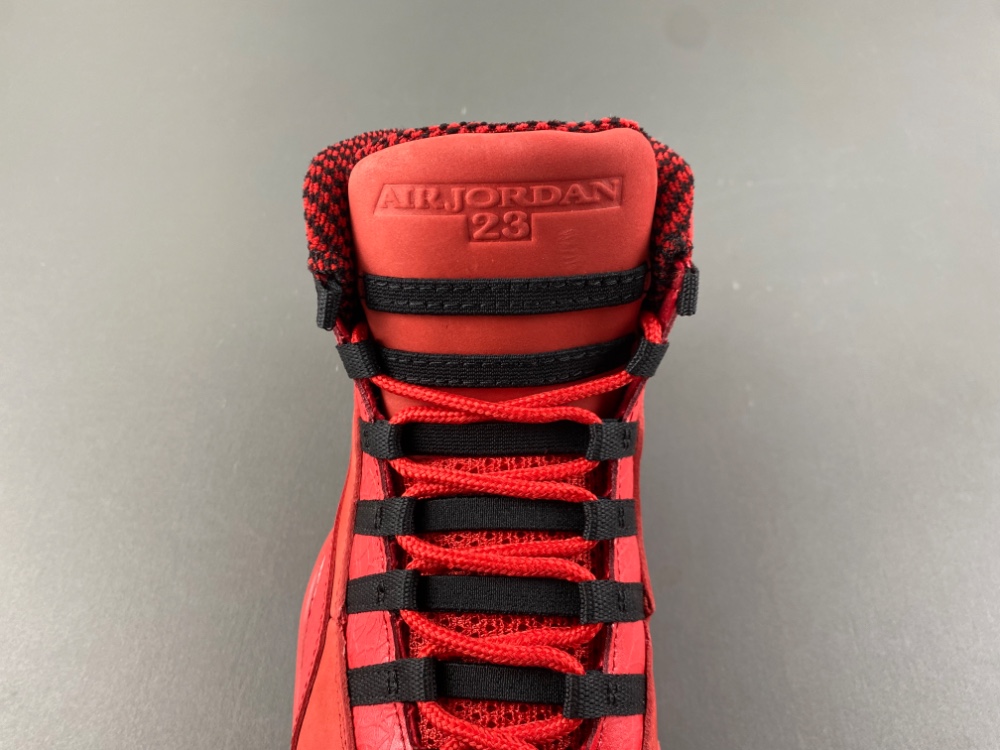 Steve Wiebe Jordan 10 Retro Hoh Aj9100 625 17 - www.kickbulk.cc