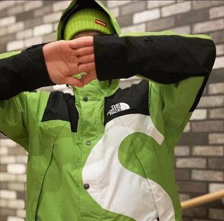 Supreme The North Face Big S Jacket 12 - www.kickbulk.cc