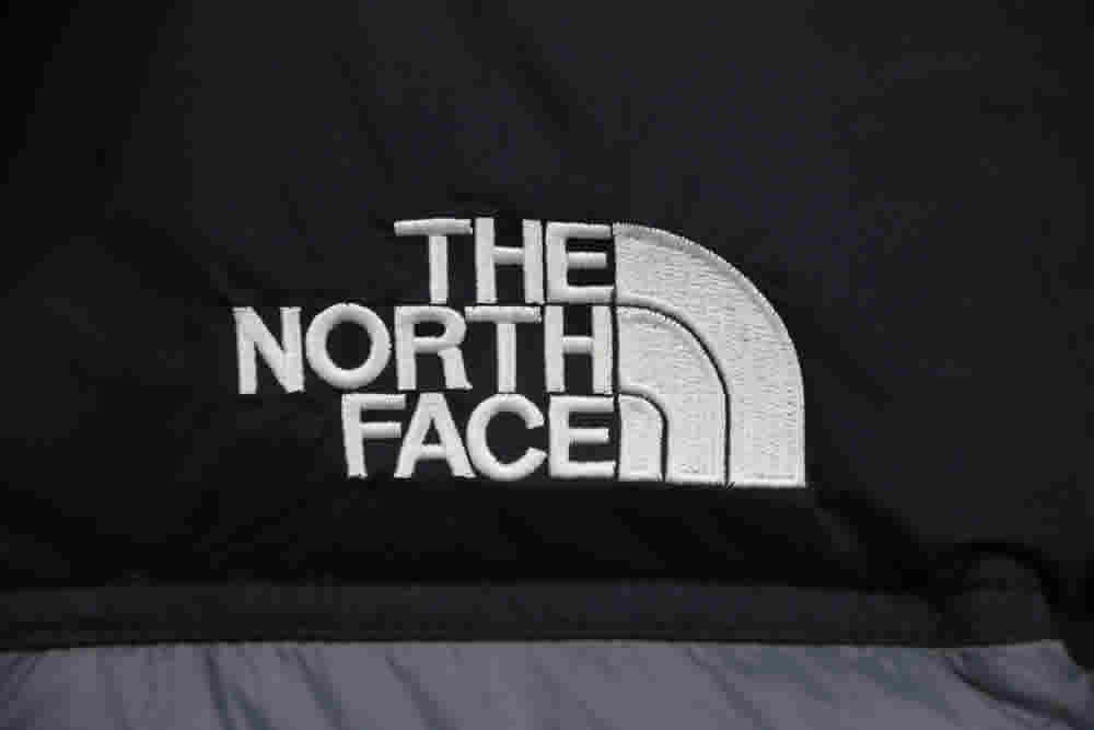 Invincible The North Face Down Jacket 15 - www.kickbulk.cc