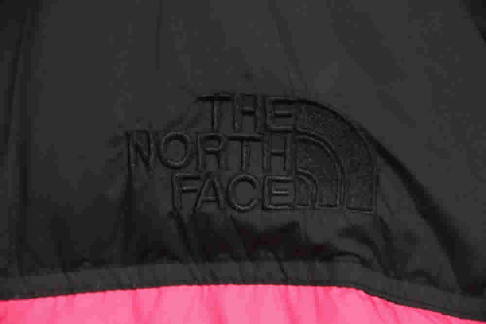 Invincible The North Face Down Jacket 18 - www.kickbulk.cc