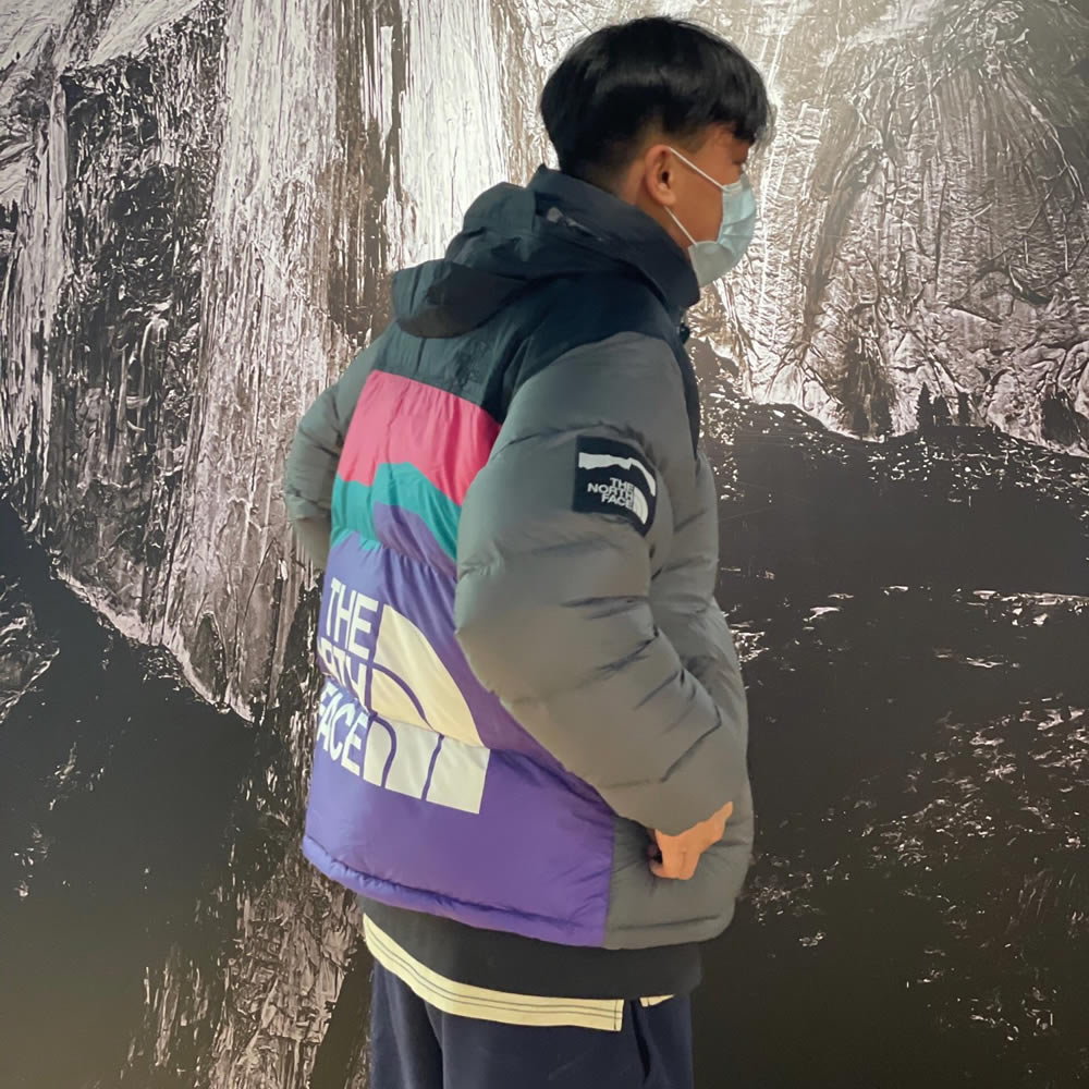 Invincible The North Face Down Jacket 4 - www.kickbulk.cc