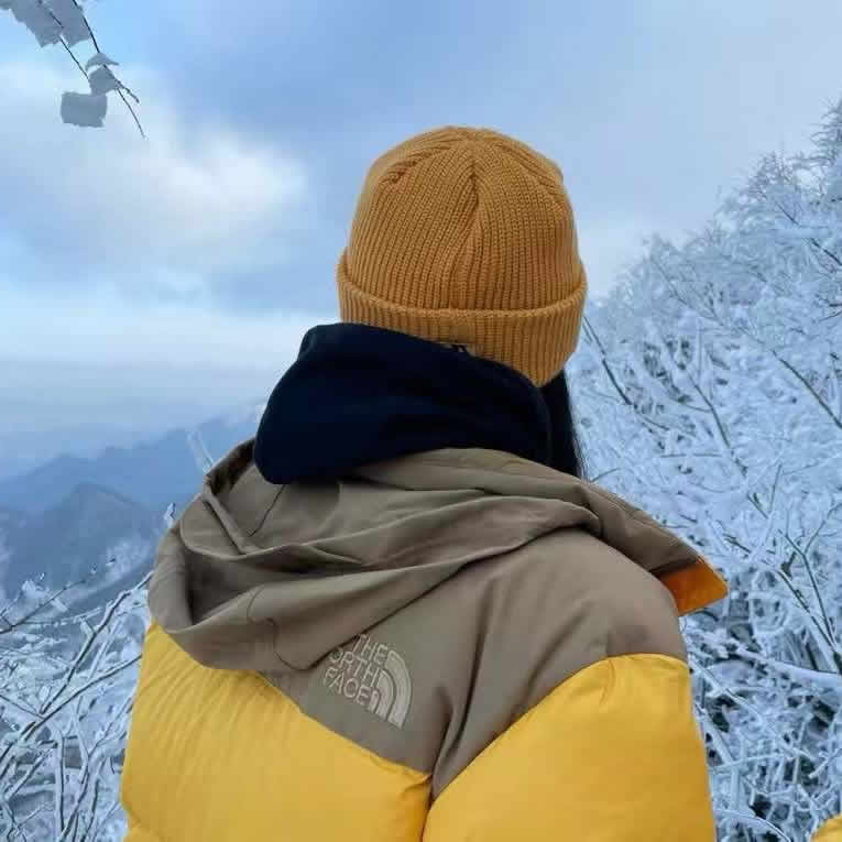 The North Face Down Jacket Yellow 22ss 1996nuptse 4nch 5 - www.kickbulk.cc