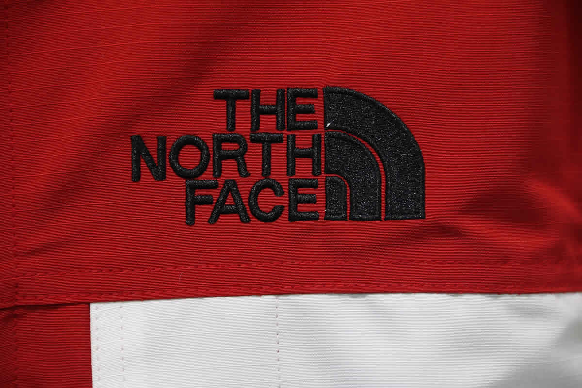 Supreme The North Face Outdoor Jacket 11 - www.kickbulk.cc