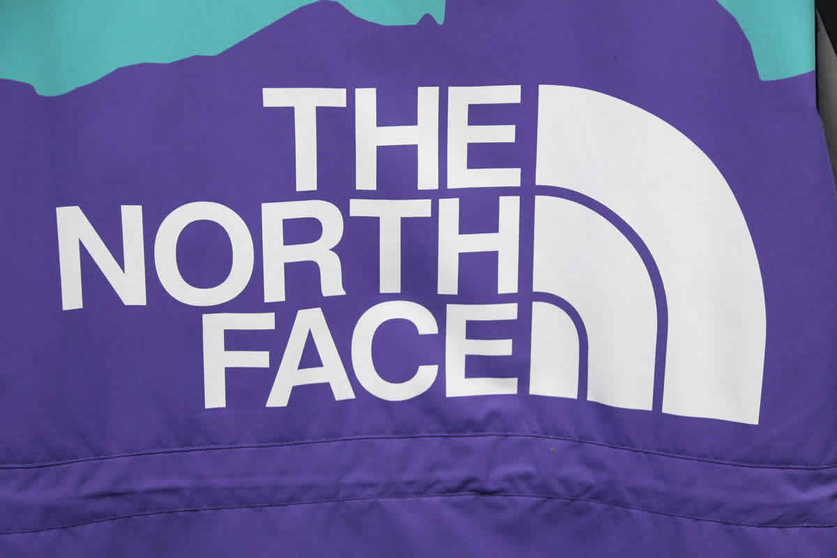The North Face Invincible Vol 2 Mountain Light Jacket 13 - www.kickbulk.cc
