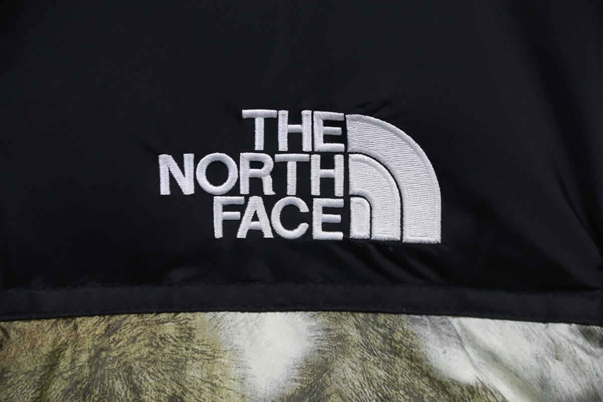 Supreme The North Face Horse Hair Down Jacket 16 - www.kickbulk.cc