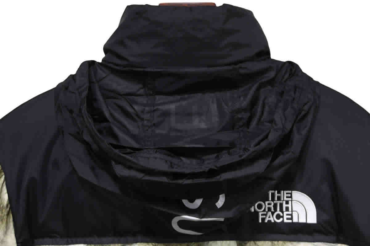 Supreme The North Face Horse Hair Down Jacket 6 - www.kickbulk.cc