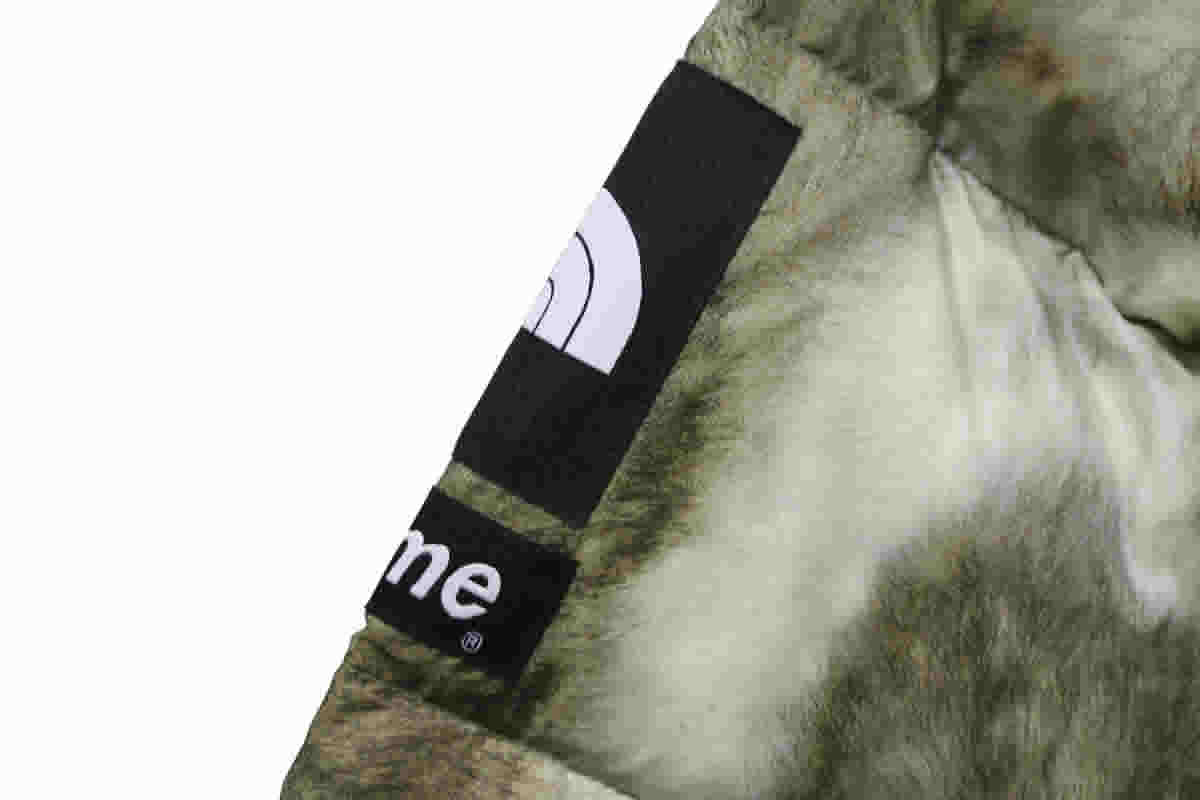 Supreme The North Face Horse Hair Down Jacket 8 - www.kickbulk.cc