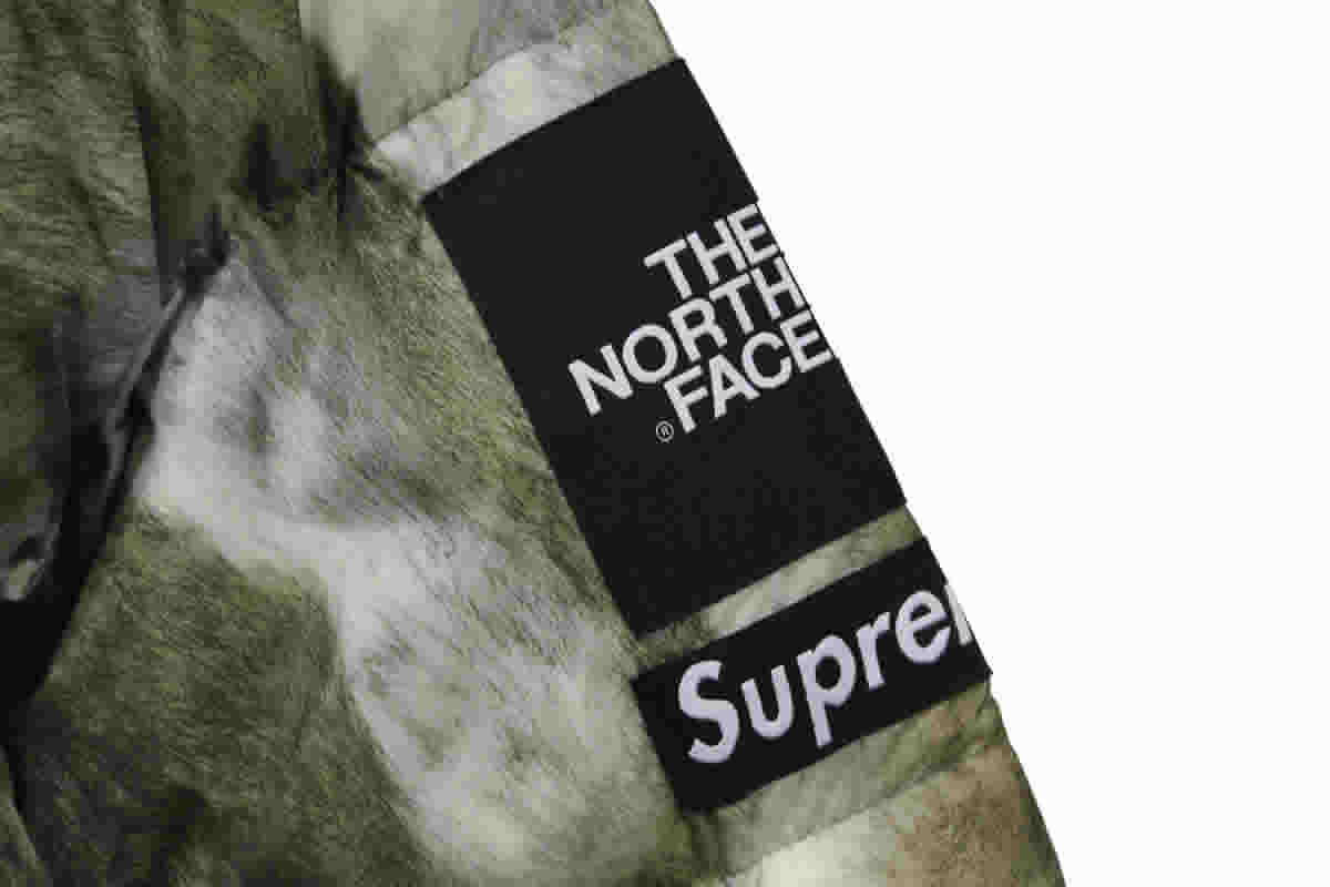 Supreme The North Face Horse Hair Down Jacket 9 - www.kickbulk.cc