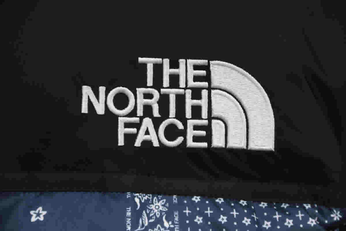 The North Face Cashew Flowers Down Jacket 11 - www.kickbulk.cc