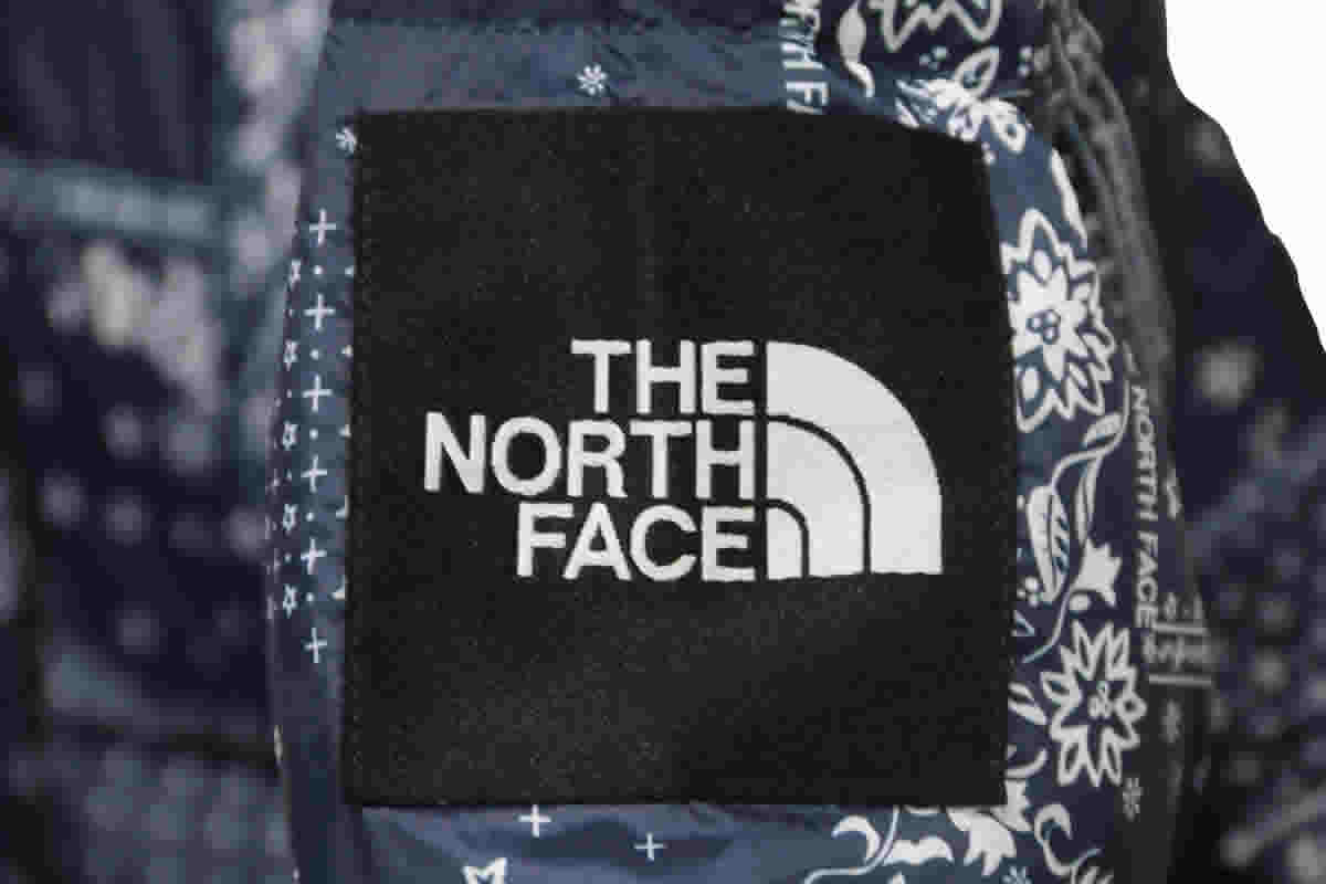 The North Face Cashew Flowers Down Jacket 12 - www.kickbulk.cc