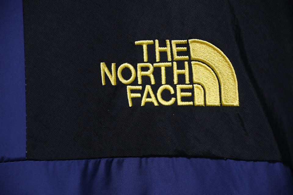 Brain Dead The North Face Jacket 10 - www.kickbulk.cc