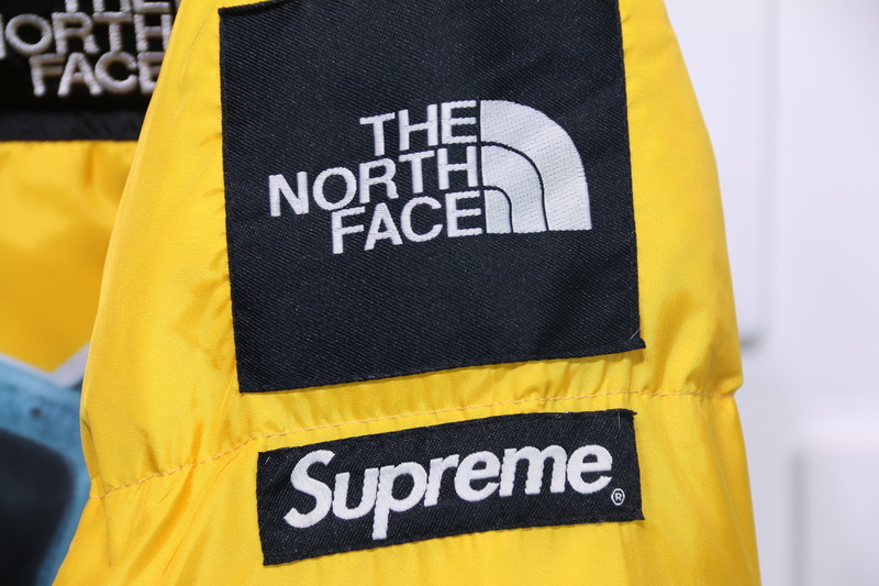 Supreme The North Face Liberty Goddess Down Jacket 13 - www.kickbulk.cc