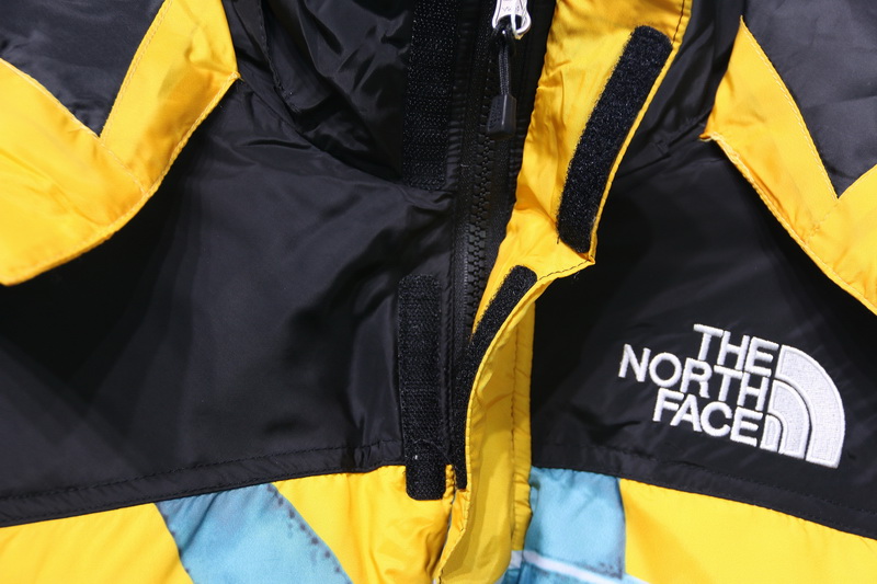 Supreme The North Face Liberty Goddess Down Jacket 15 - www.kickbulk.cc