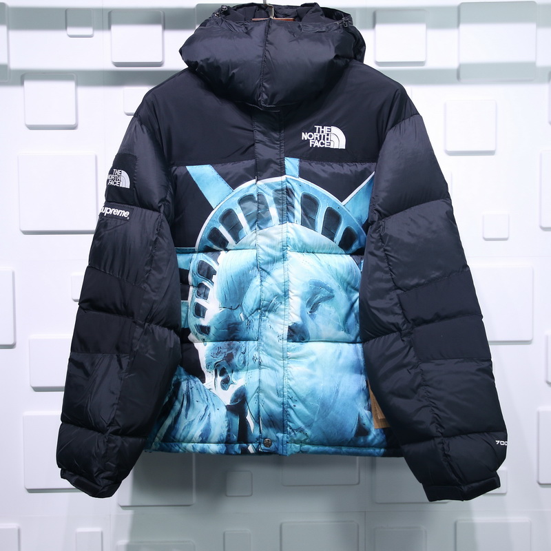 Supreme The North Face Liberty Goddess Down Jacket 18 - www.kickbulk.cc