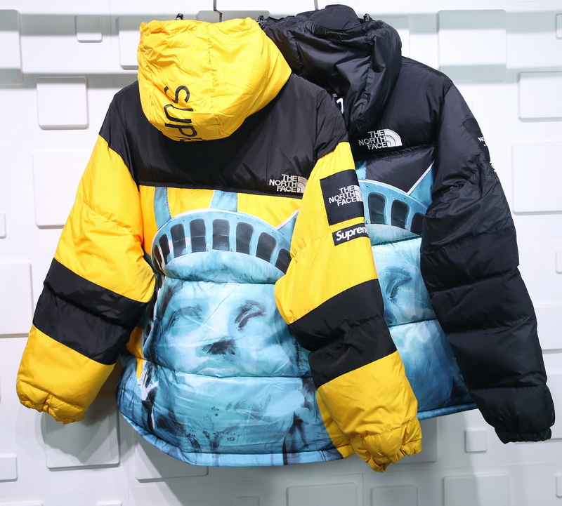 Supreme The North Face Liberty Goddess Down Jacket 2 - www.kickbulk.cc