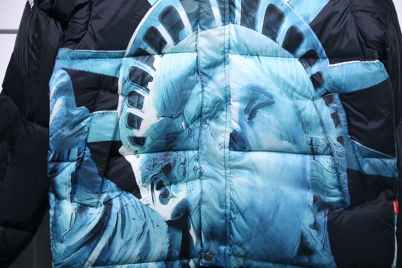 Supreme The North Face Liberty Goddess Down Jacket 21 - www.kickbulk.cc