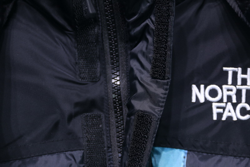 Supreme The North Face Liberty Goddess Down Jacket 26 - www.kickbulk.cc