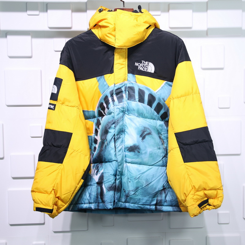 Supreme The North Face Liberty Goddess Down Jacket 3 - www.kickbulk.cc