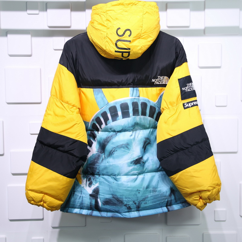 Supreme The North Face Liberty Goddess Down Jacket 4 - www.kickbulk.cc