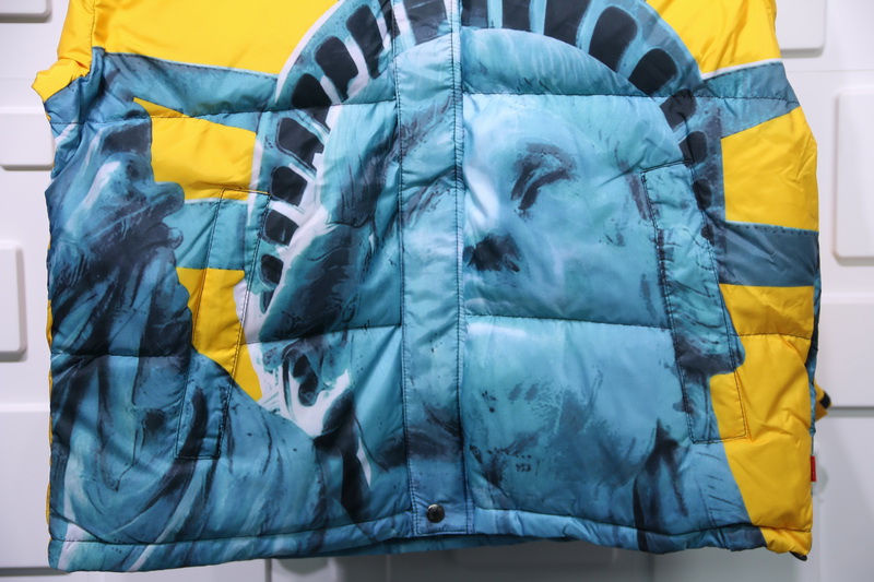 Supreme The North Face Liberty Goddess Down Jacket 5 - www.kickbulk.cc