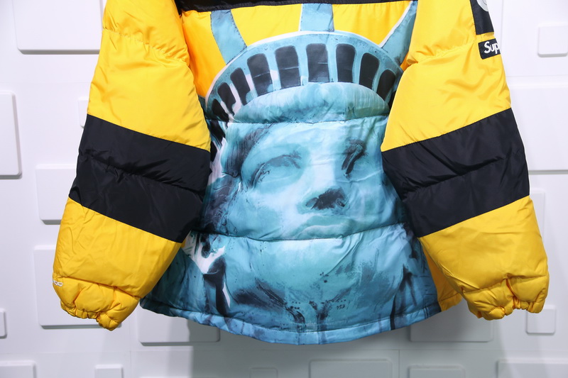 Supreme The North Face Liberty Goddess Down Jacket 6 - www.kickbulk.cc