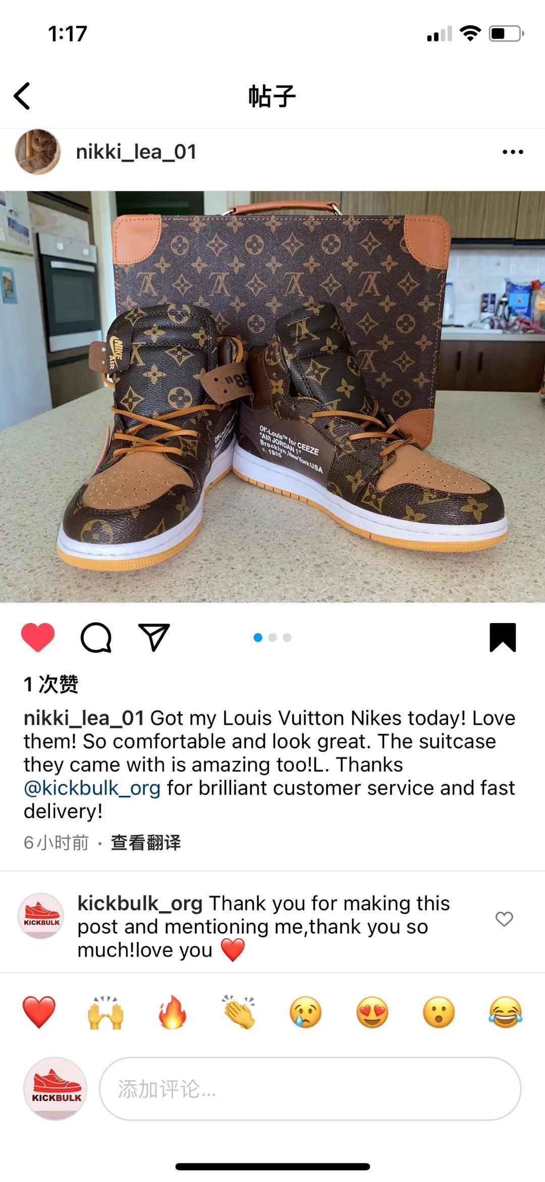 LOUIS VUITTON X AIR JORDAN 1 Low LV Kickbulk Sneaker Camera photos